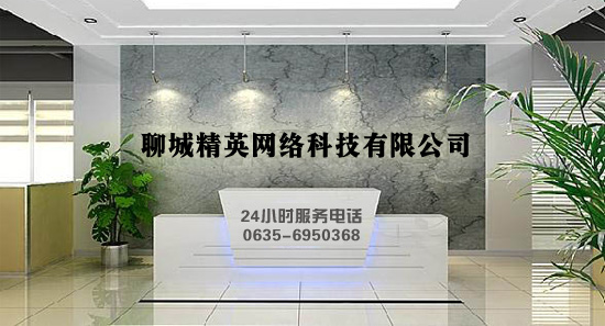 聊城精英网络有限公司